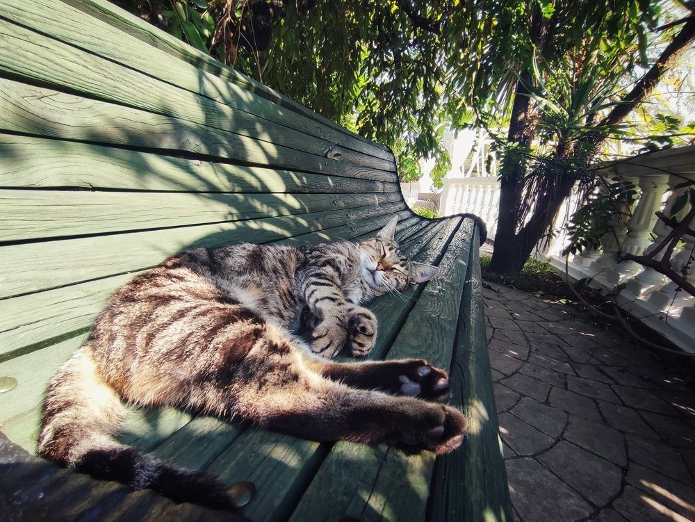 Photograph by Алина Эбель