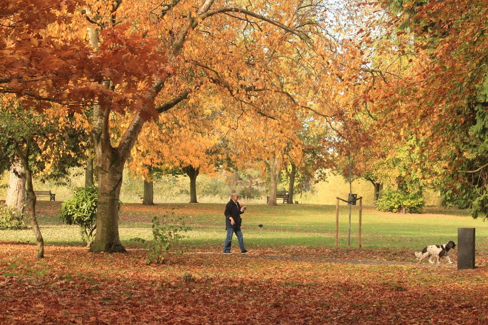 Photograph by Sharad vadoliya
