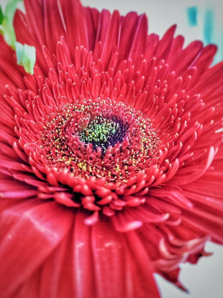 Photograph by Мария Андреева