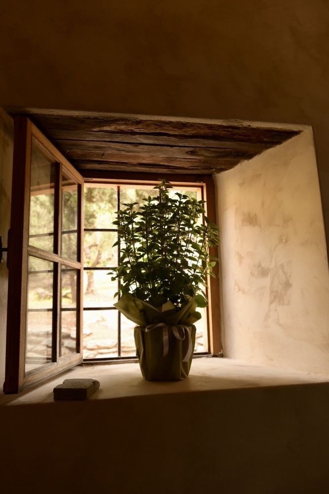 Photograph by Ольга Куколева