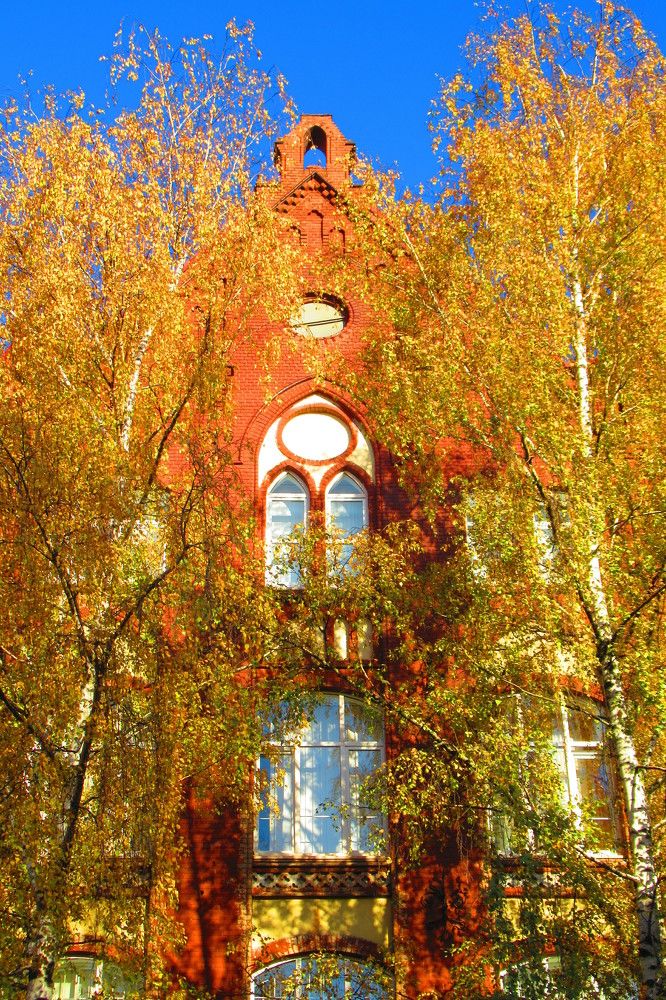 Photograph by Ирина Шведчикова