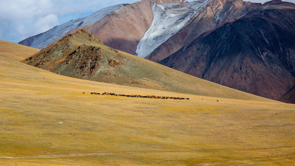 Photograph by Елена Данченко