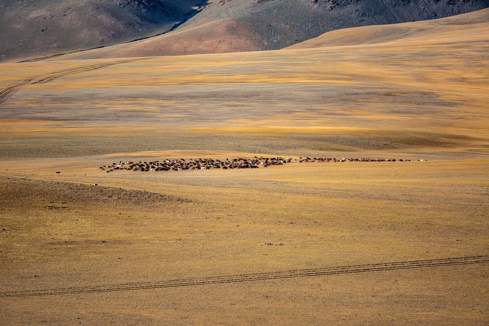 Photograph by Елена Данченко