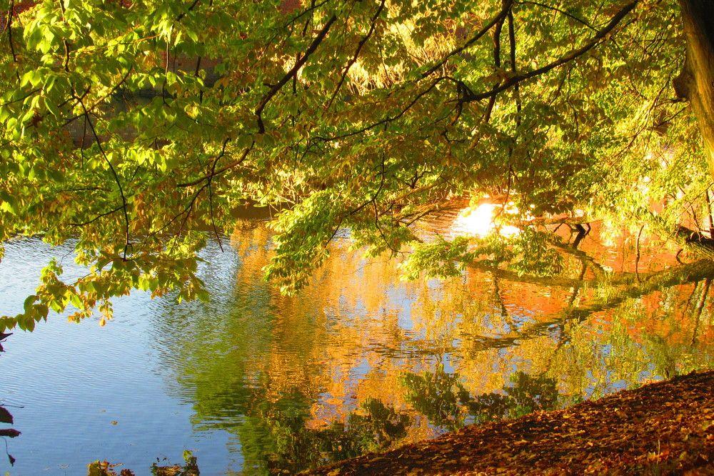 Photograph by Ирина Шведчикова