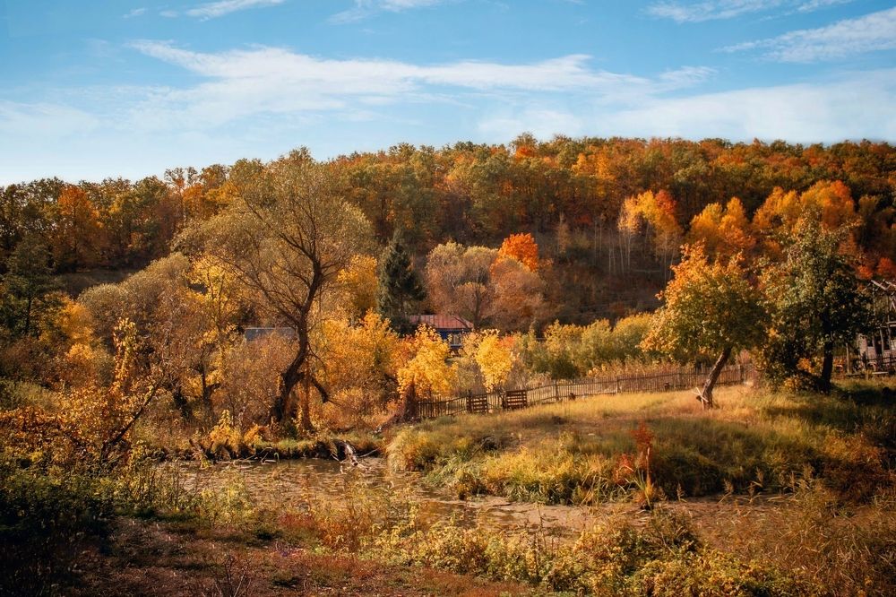 Photograph by Денис Шамров