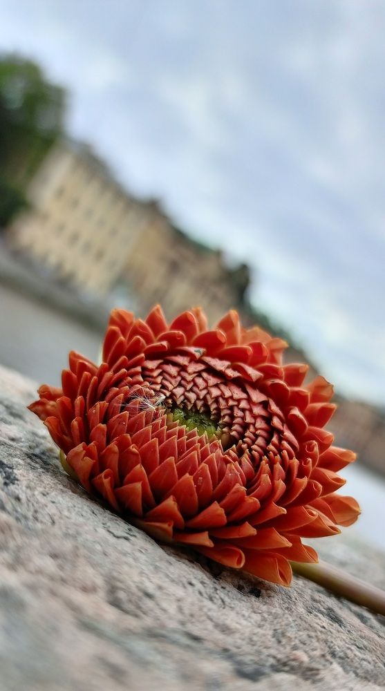 Photograph by Оксана Кся