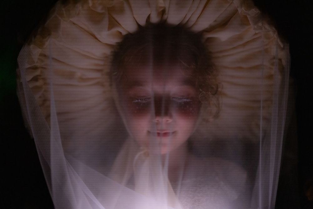 Magic of the night forest