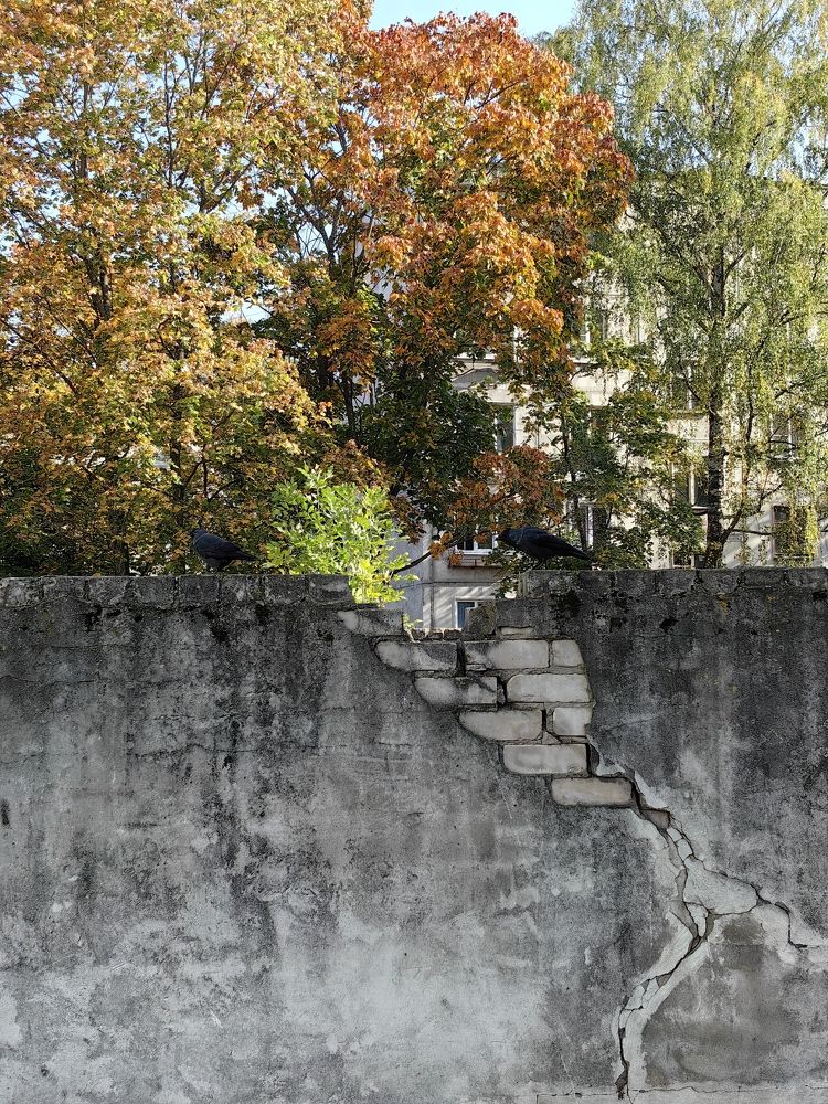 Photograph by Анастасия Иванова