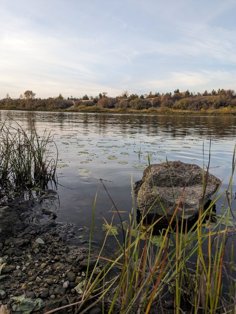 Photograph by Людмила Панюхина