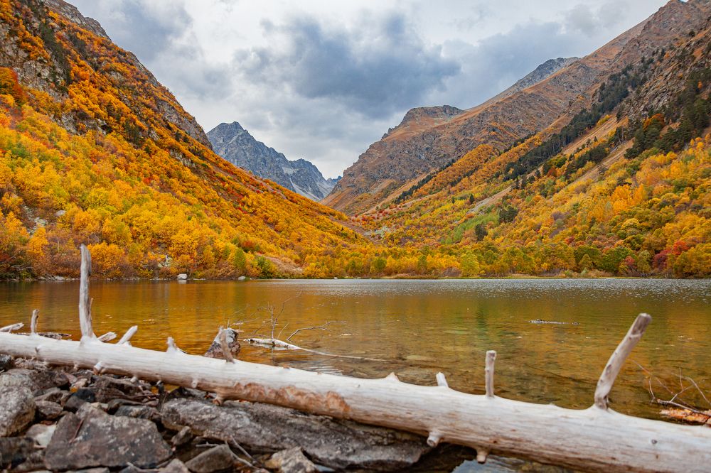 Photograph by Максим Максимов