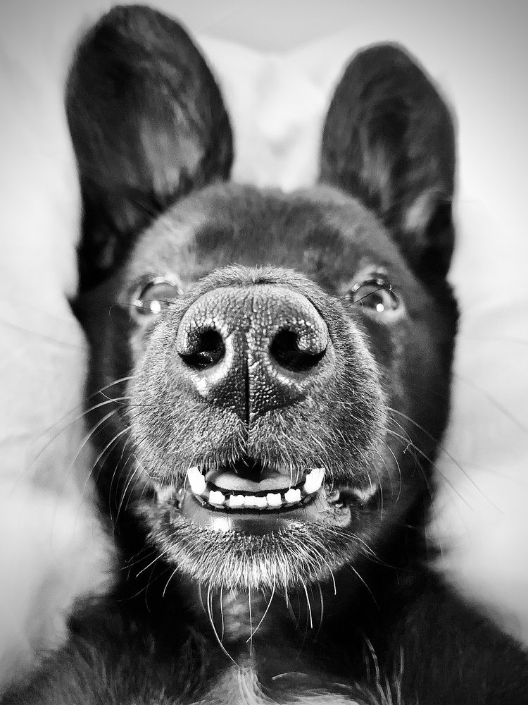 Photograph by Irina Beleva