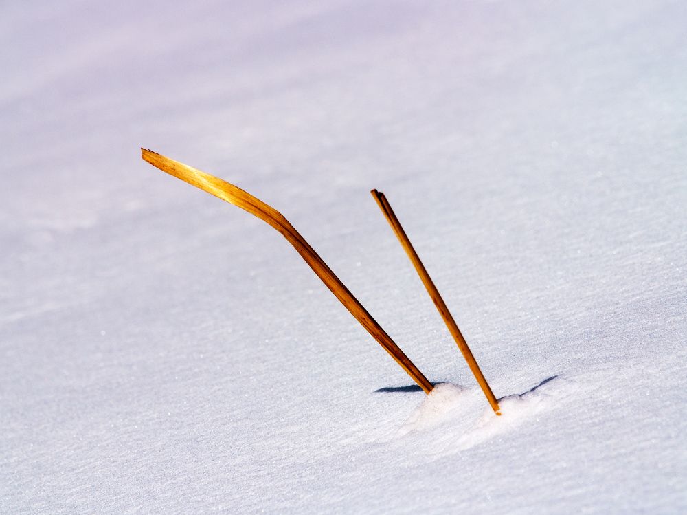 Photograph by Abdolreza Aleagha