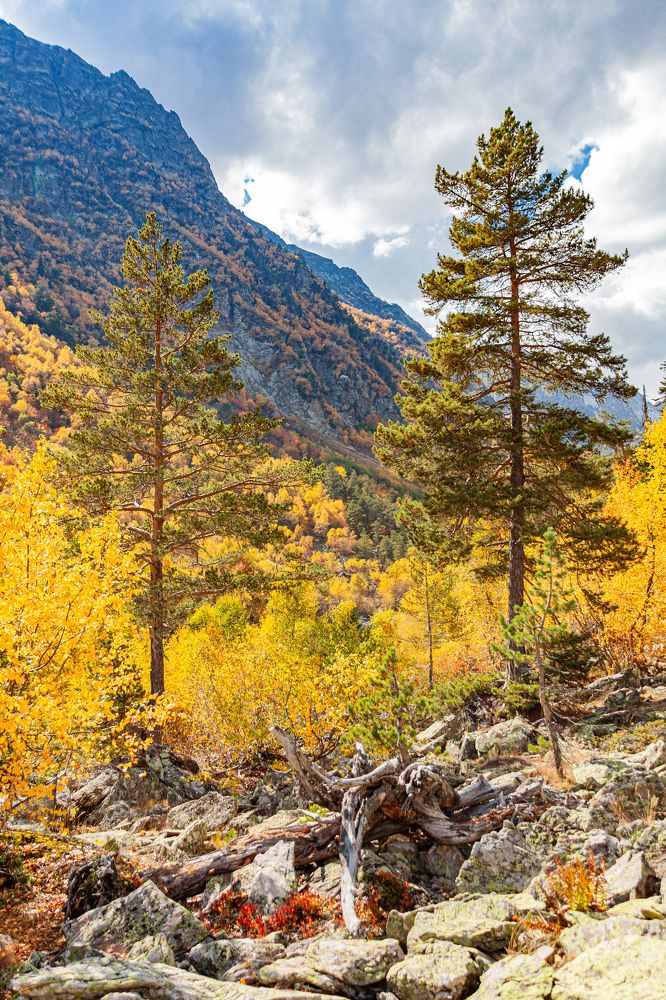 Photograph by Максим Максимов