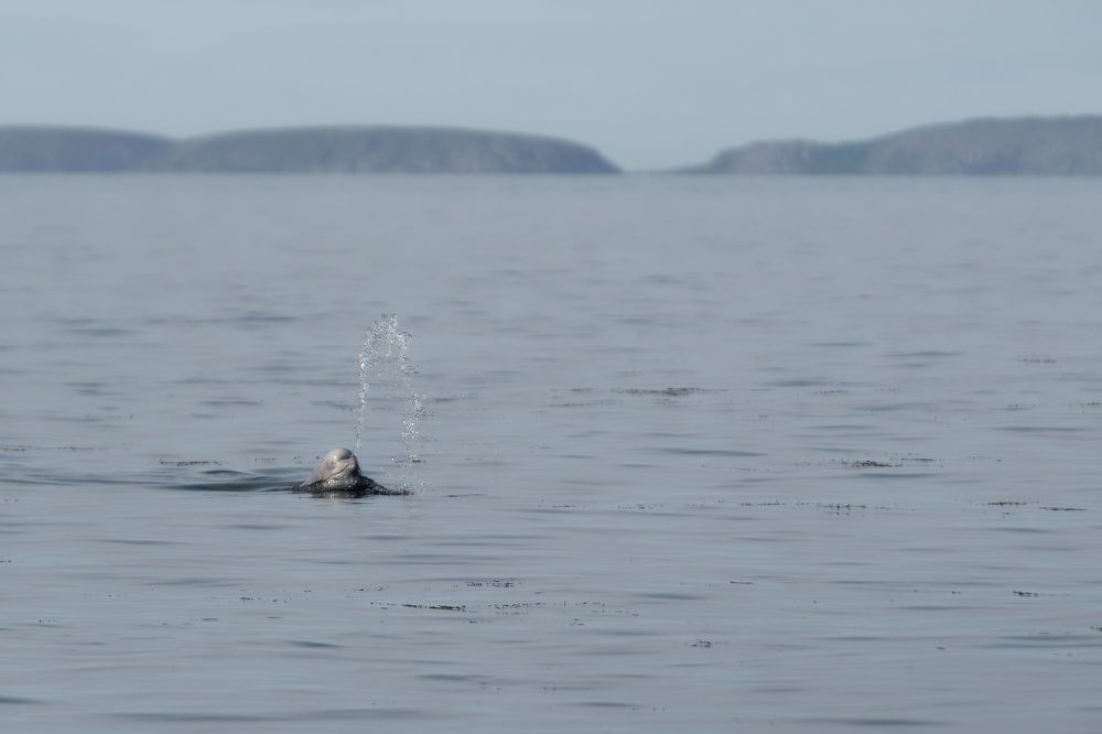 Photograph by Pavel Ivshin