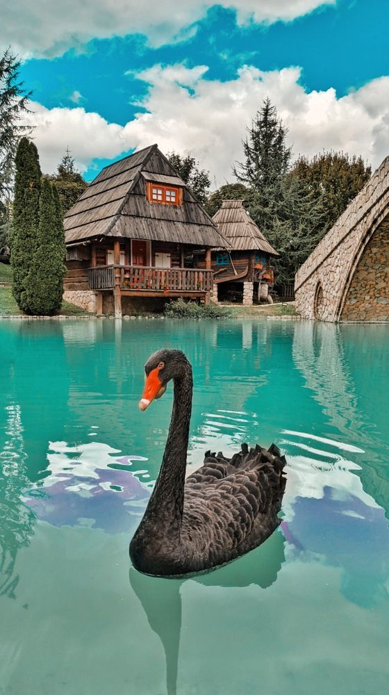 Photograph by Tamara