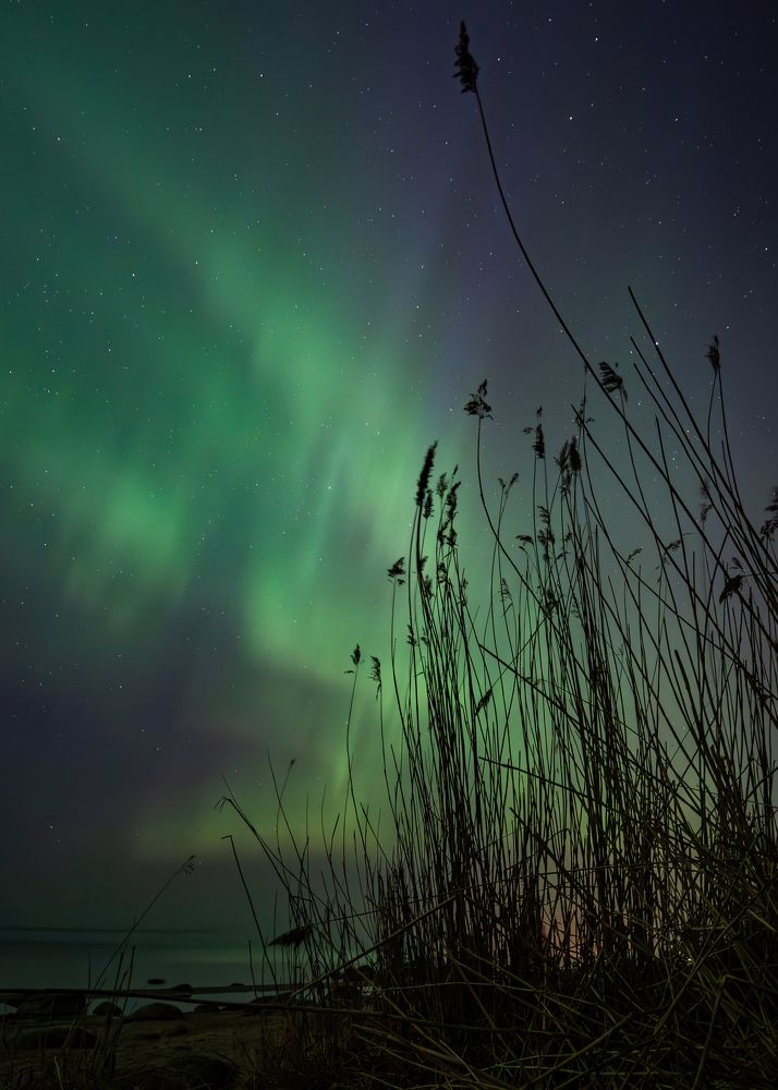 Photograph by Jurate Kastritskaja