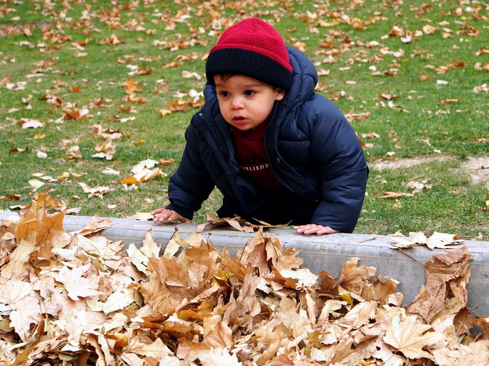 Photograph by Abdolreza Aleagha