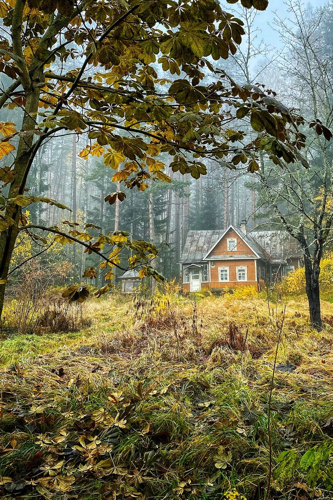 Photograph by Ирина Худзинская