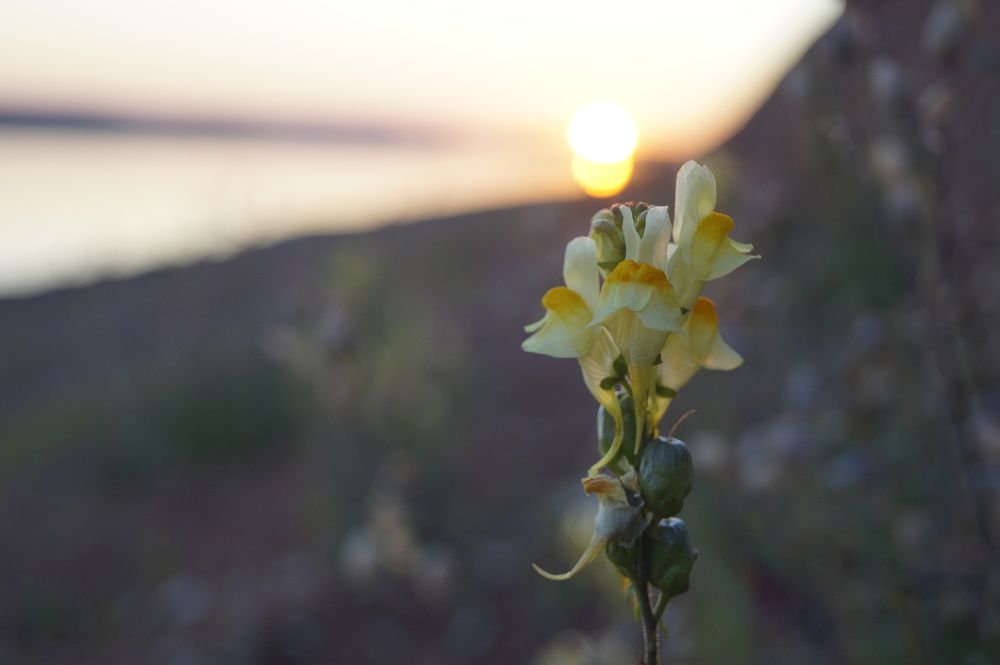 Photograph by Татьяна Бешенкина