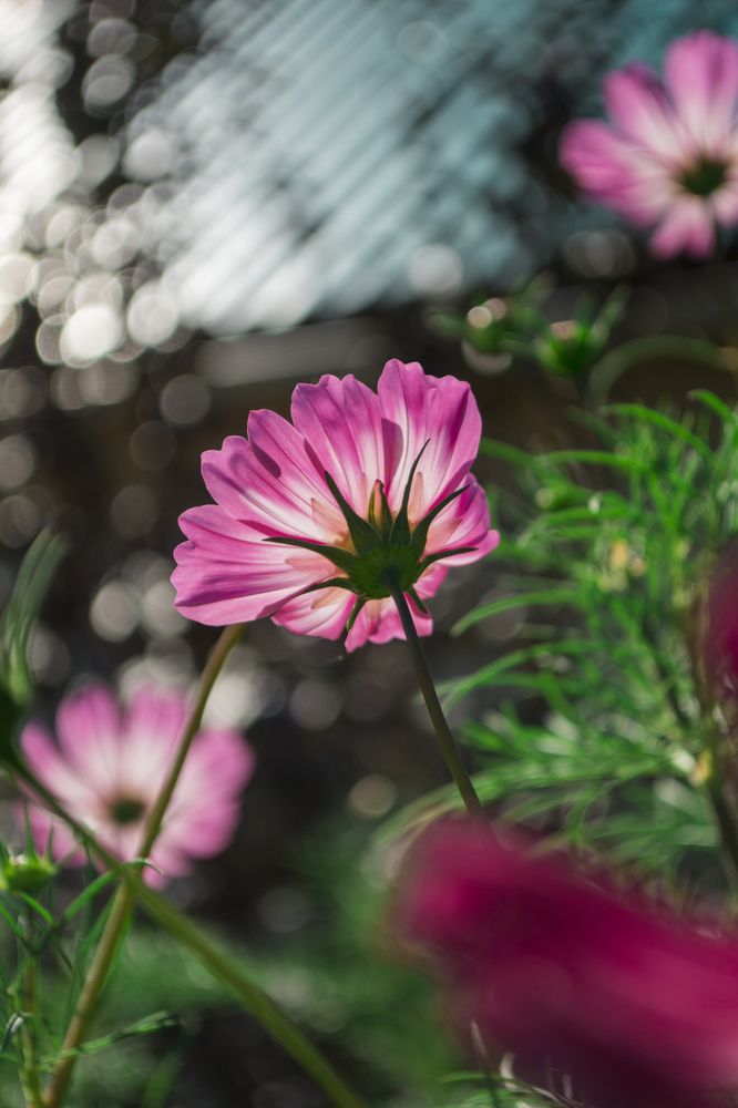 Photograph by Анна Ушакова