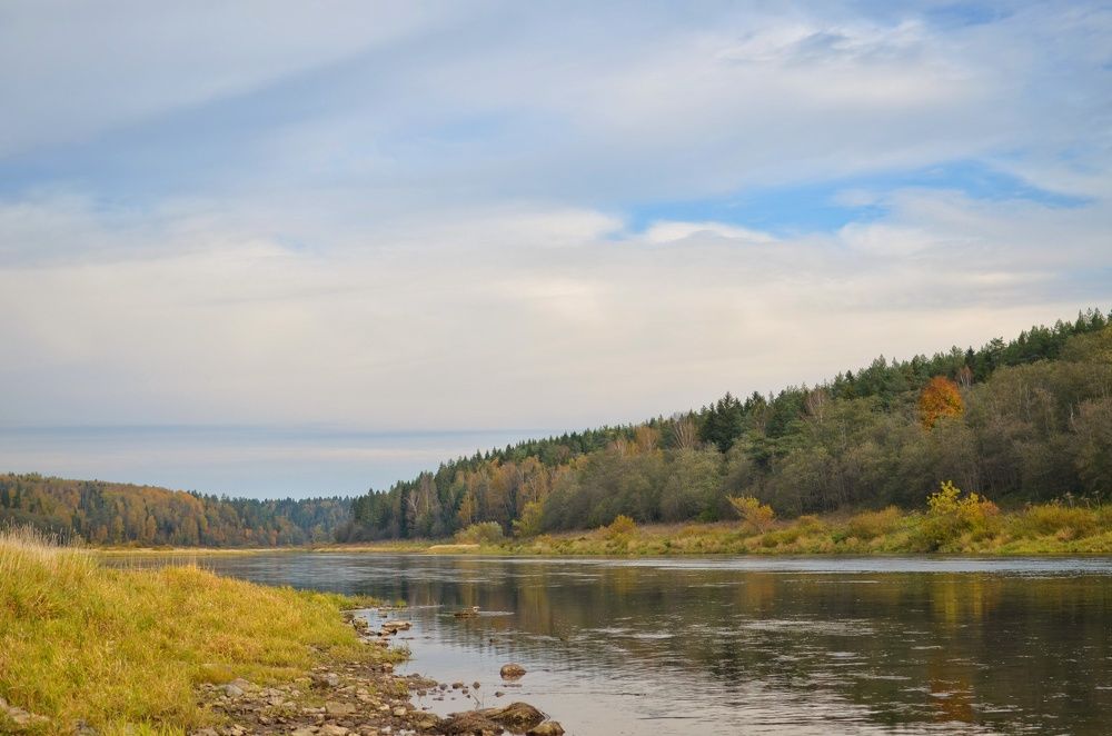 Фотография автора Olga Belikova
