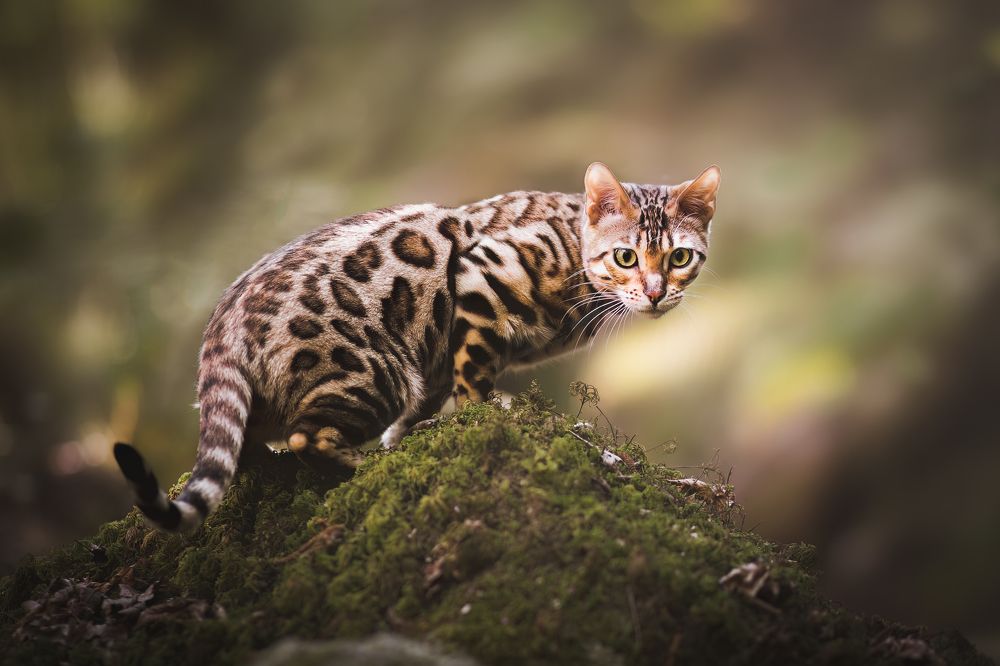 Photograph by GRISELDA FERNANDEZ