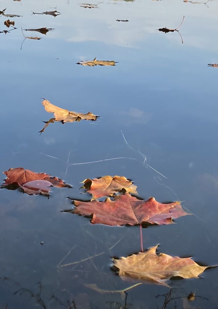 Photograph by Светлана Фесенко