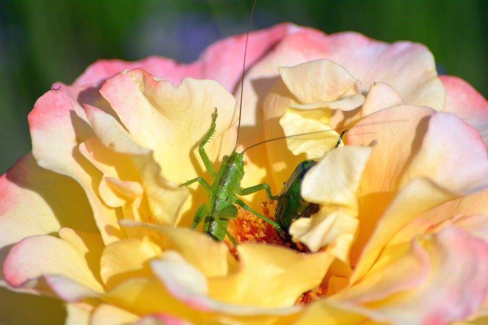 Photograph by Александр Новиков