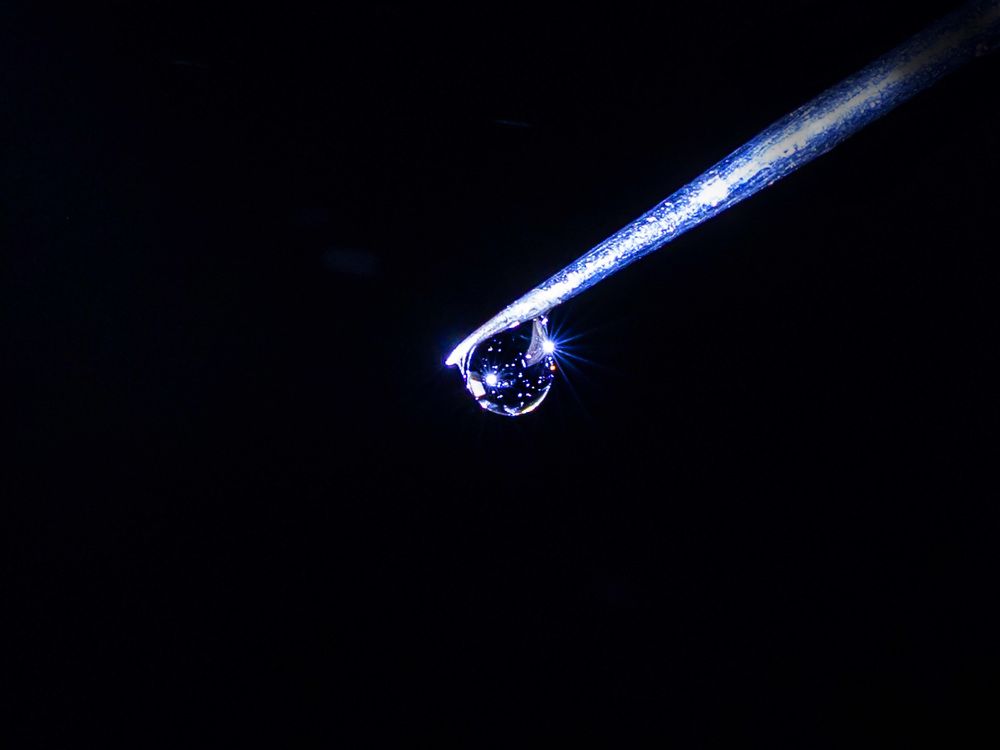 Photograph by Максим Фролов