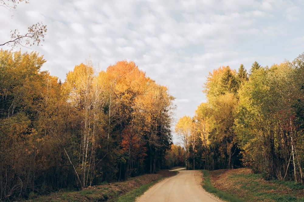 Photograph by Марина Рукавичко
