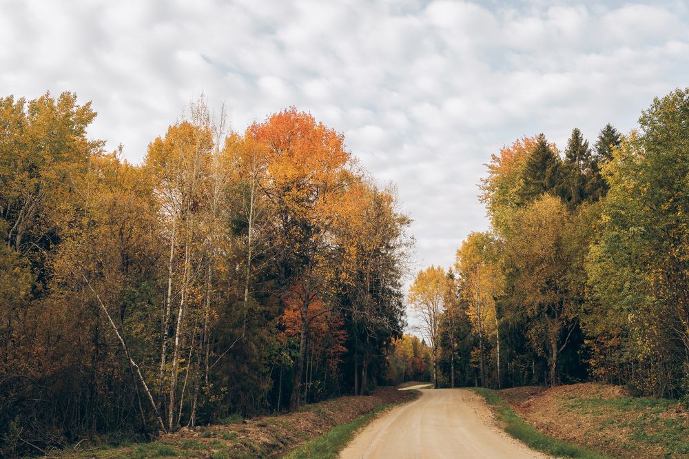 Photograph by Марина Рукавичко