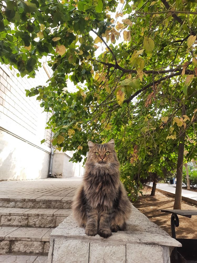 Фотография автора Ева Евстропова