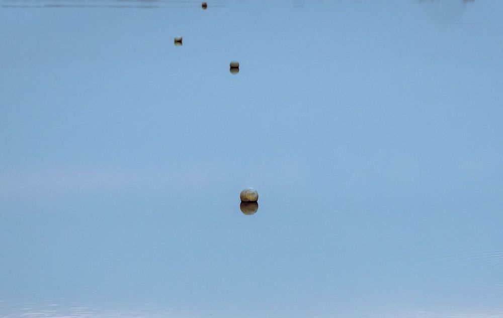 Photograph by Олег Волков