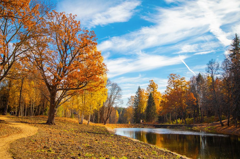 Photograph by Ларина Ирина