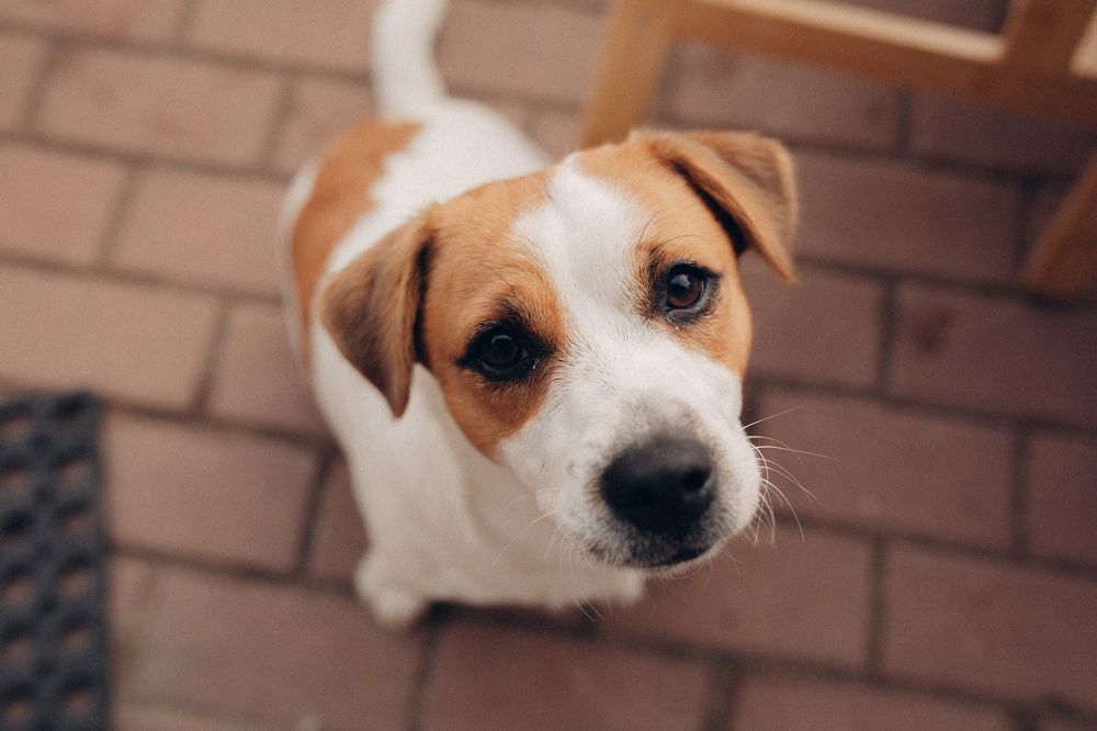 Photograph by Марина Рукавичко