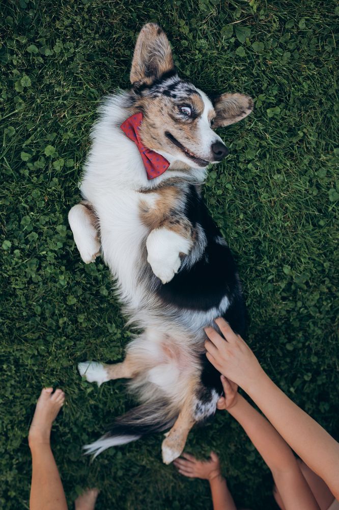 Photograph by Марина Рукавичко