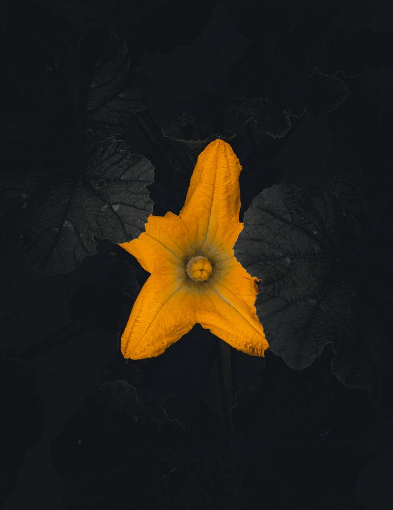 Photograph by Денис Шамров