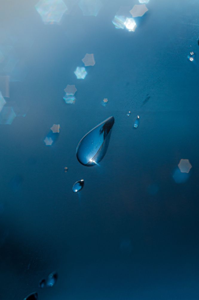 Photograph by Денис Шамров