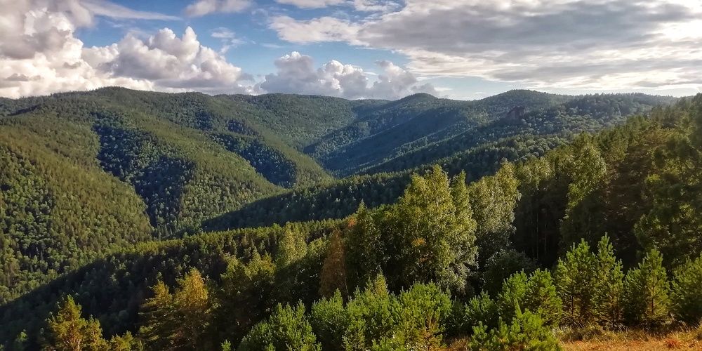 Photograph by Алексей Антонов