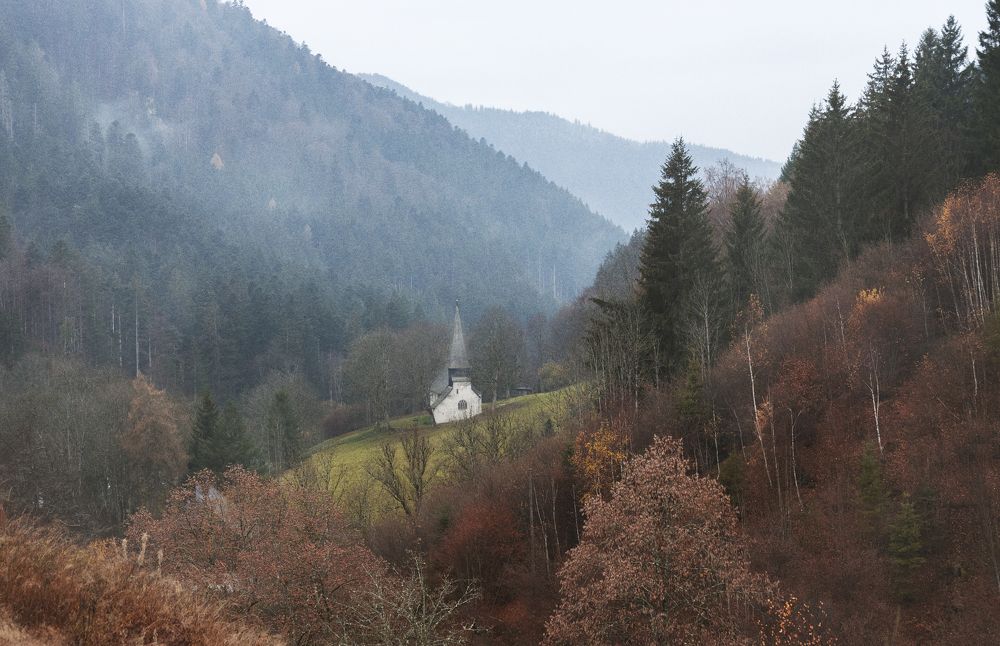 Photograph by Tatyana Pomogaeva