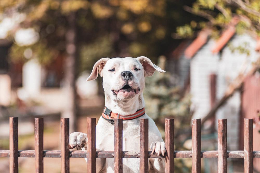 Photograph by Max Samadhi