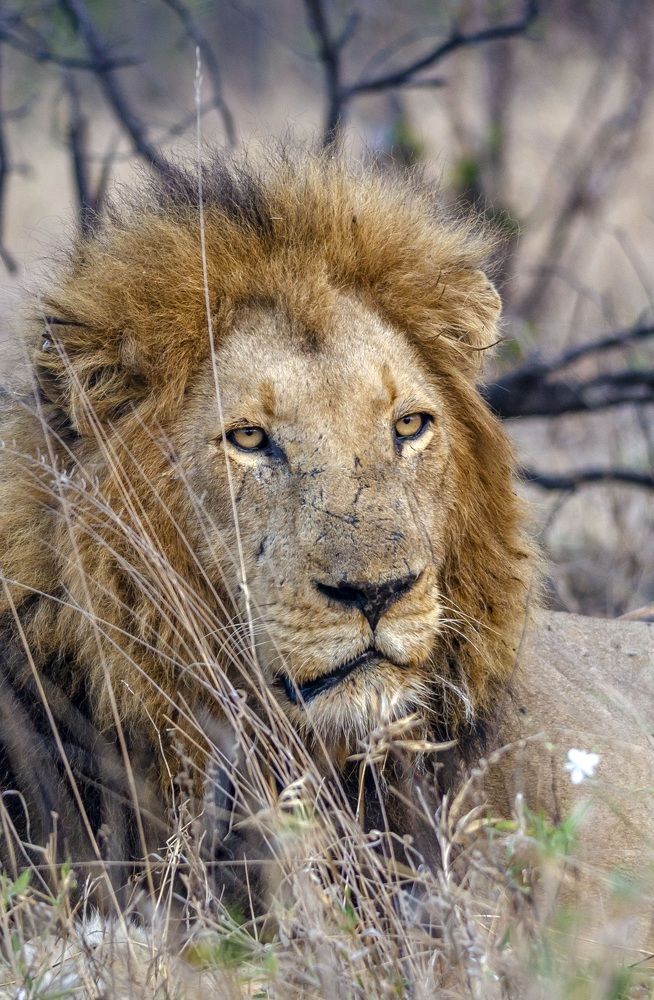 Фотография автора Thomas Ndobe