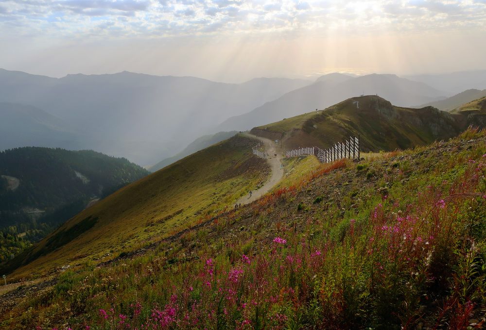 Photograph by Ольга Стоун