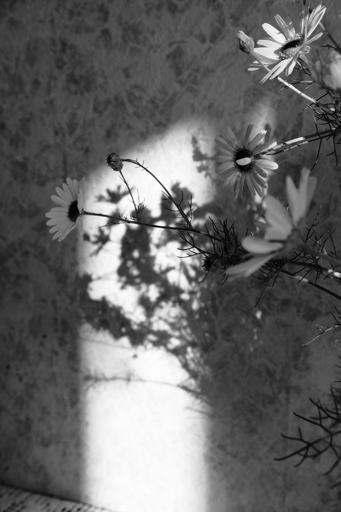 Photograph by Екатерина Хозяшева