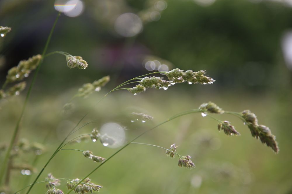 Фотография автора Станислава Гордеева