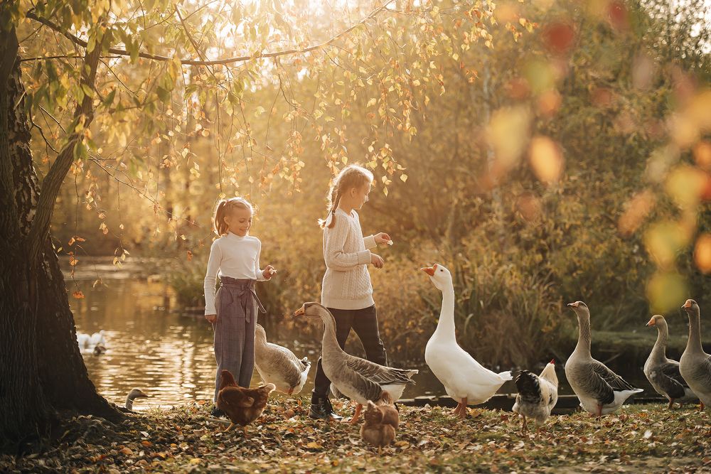 Photograph by Сальников Евгений