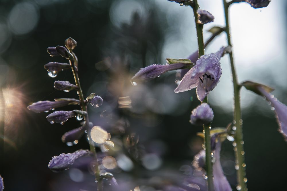 Фотография автора Станислава Гордеева