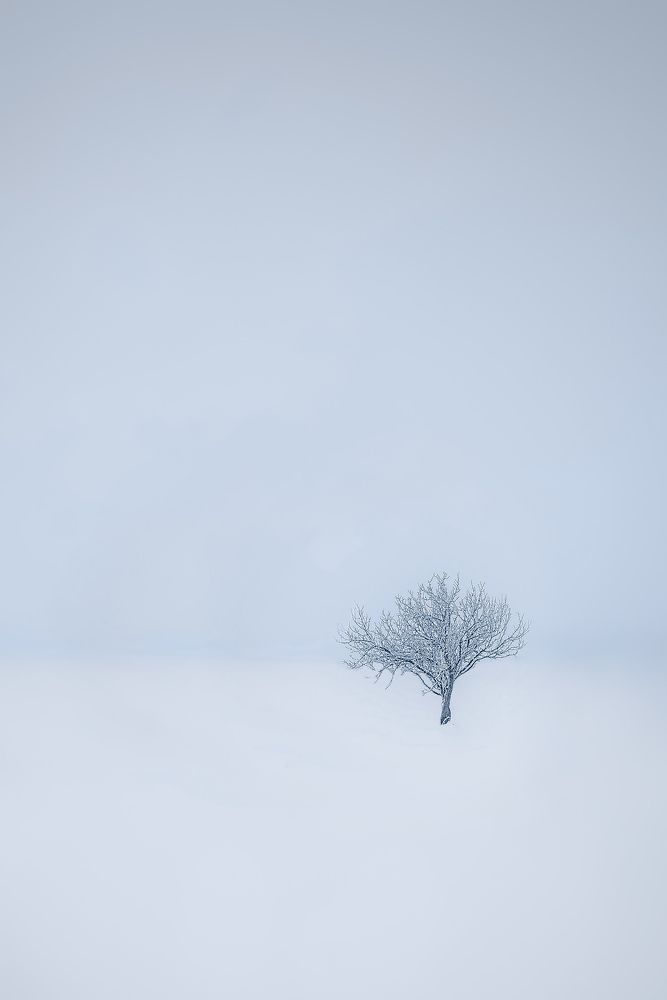 Photograph by Денис Шамров