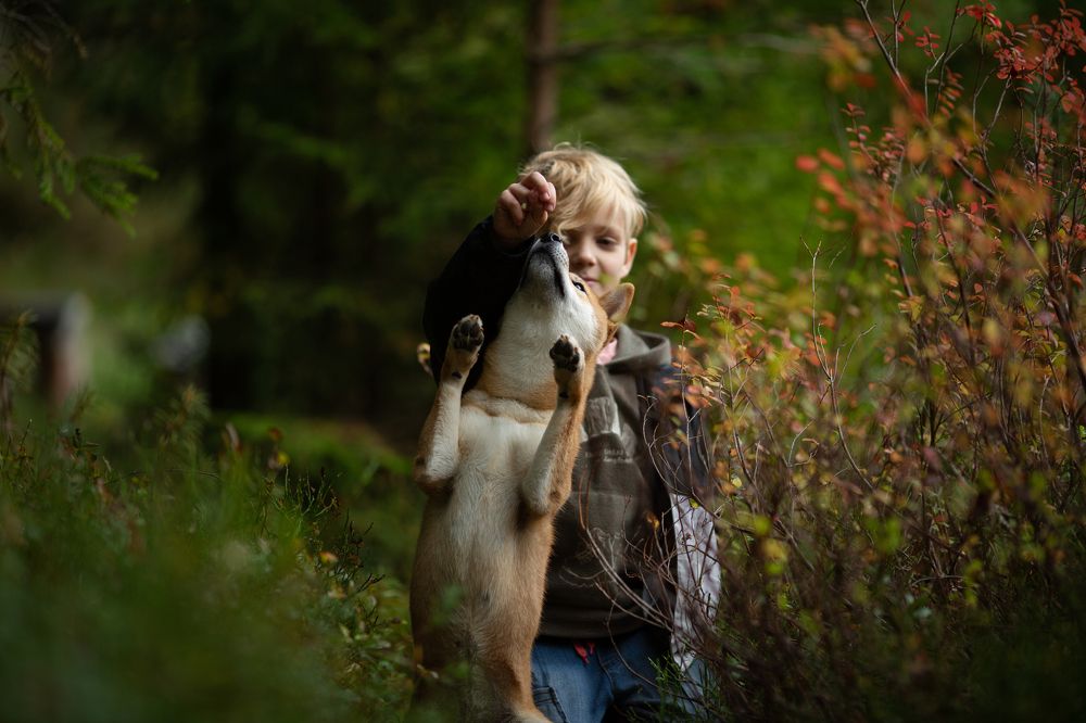 Photograph by Наталья Парфенова