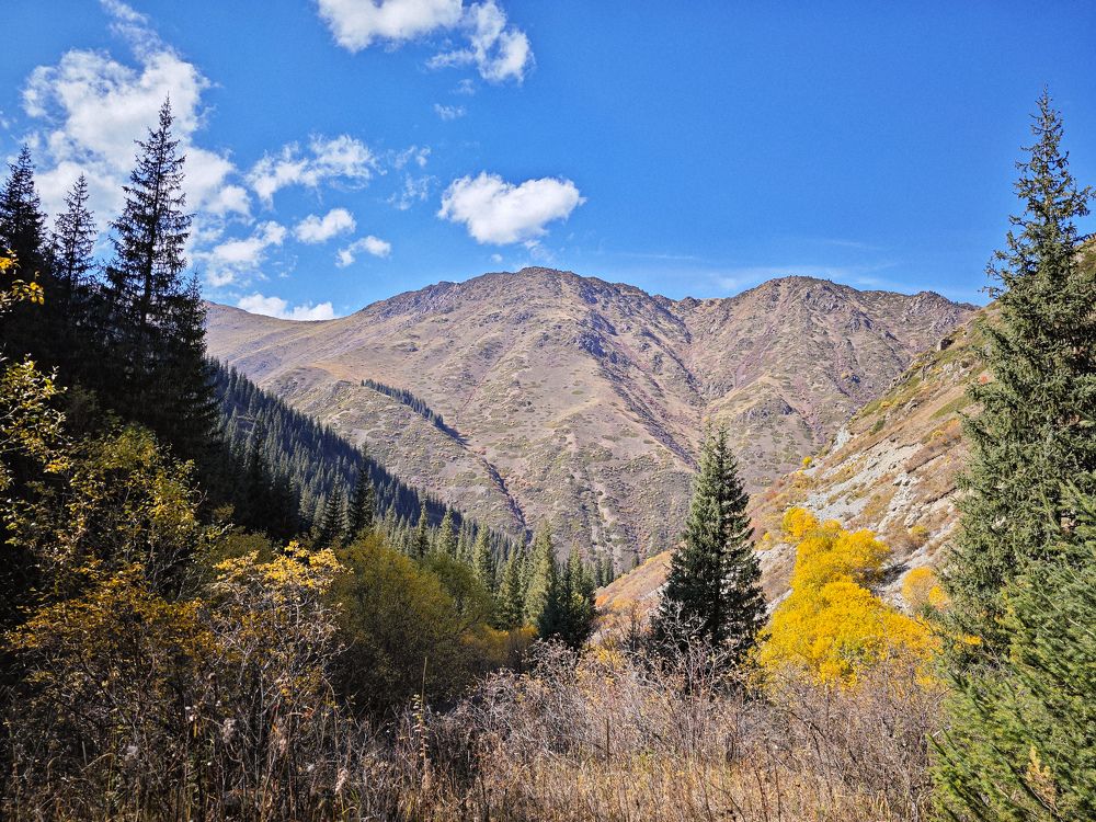 Photograph by Оксана Некрасова